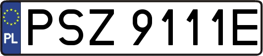 PSZ9111E