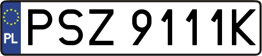 PSZ9111K