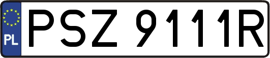 PSZ9111R