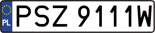 PSZ9111W