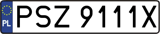 PSZ9111X
