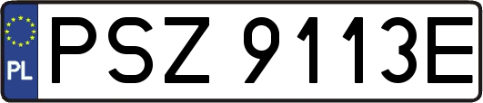 PSZ9113E