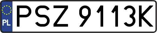 PSZ9113K