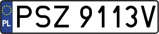 PSZ9113V
