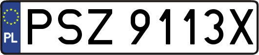 PSZ9113X