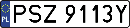 PSZ9113Y