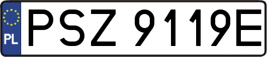 PSZ9119E