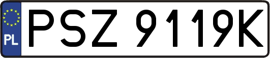 PSZ9119K