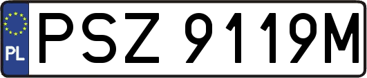 PSZ9119M