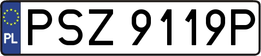 PSZ9119P