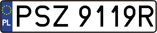 PSZ9119R