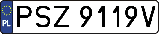 PSZ9119V