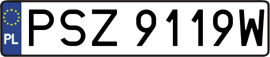 PSZ9119W