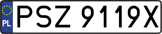PSZ9119X