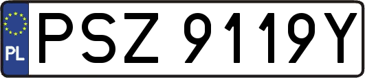 PSZ9119Y