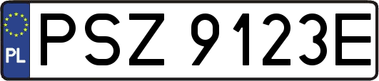 PSZ9123E
