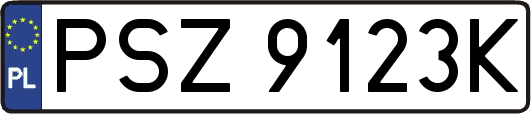 PSZ9123K
