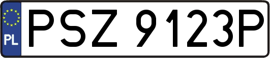PSZ9123P