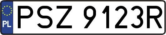 PSZ9123R