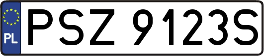 PSZ9123S