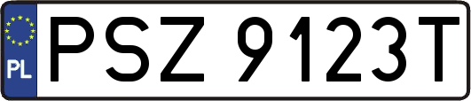 PSZ9123T