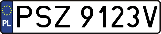 PSZ9123V