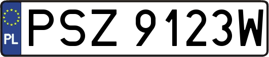 PSZ9123W