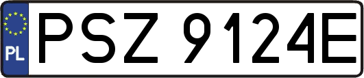 PSZ9124E