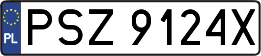 PSZ9124X