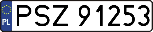 PSZ91253