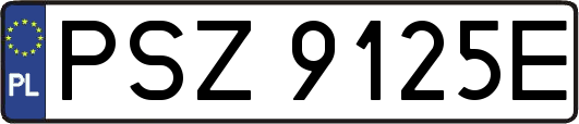 PSZ9125E