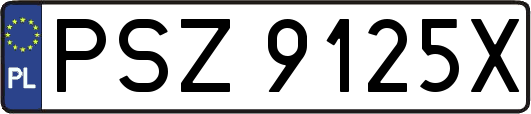 PSZ9125X