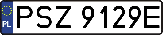 PSZ9129E