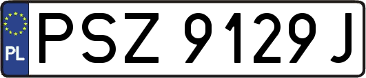 PSZ9129J