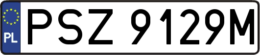 PSZ9129M
