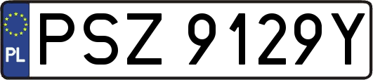 PSZ9129Y