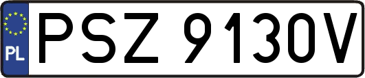 PSZ9130V