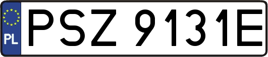PSZ9131E