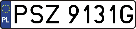 PSZ9131G