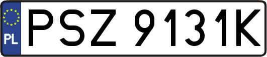 PSZ9131K