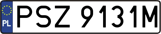 PSZ9131M