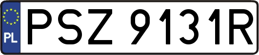 PSZ9131R