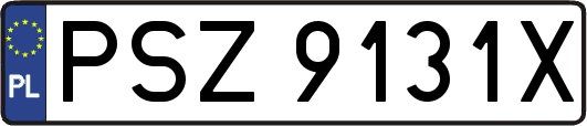 PSZ9131X