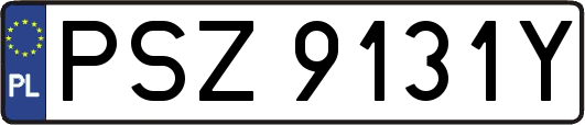 PSZ9131Y