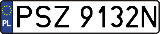 PSZ9132N