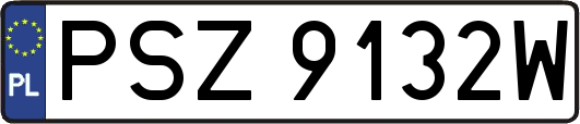 PSZ9132W