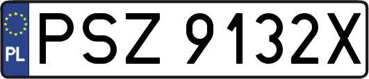 PSZ9132X