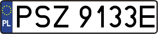PSZ9133E