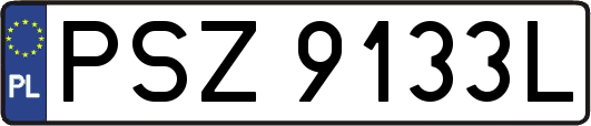 PSZ9133L