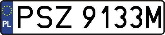 PSZ9133M